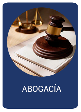 Descripción imagen 1