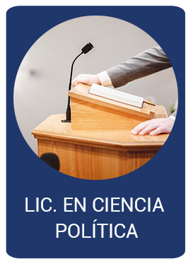 Descripción imagen 7